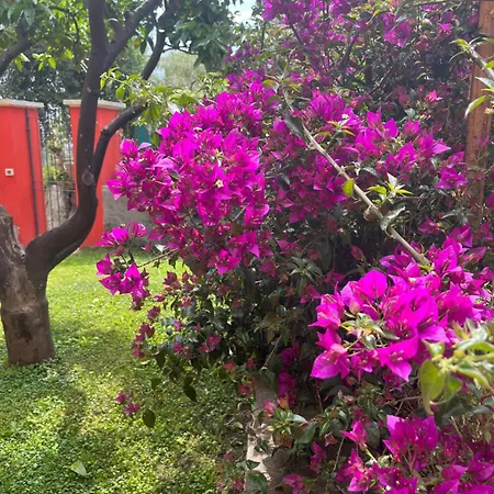 Ca' Mati ゲストハウス 3*