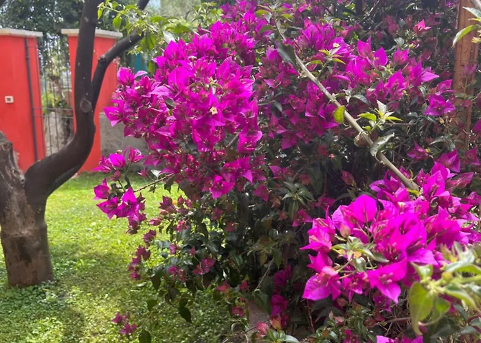 Ca' Mati Гостевой дом 3*